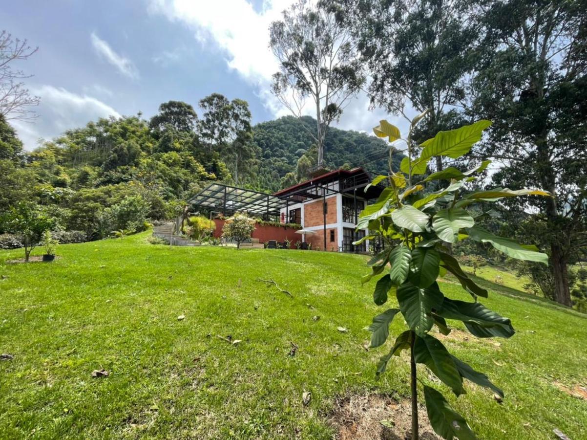 Gulupa Jardin