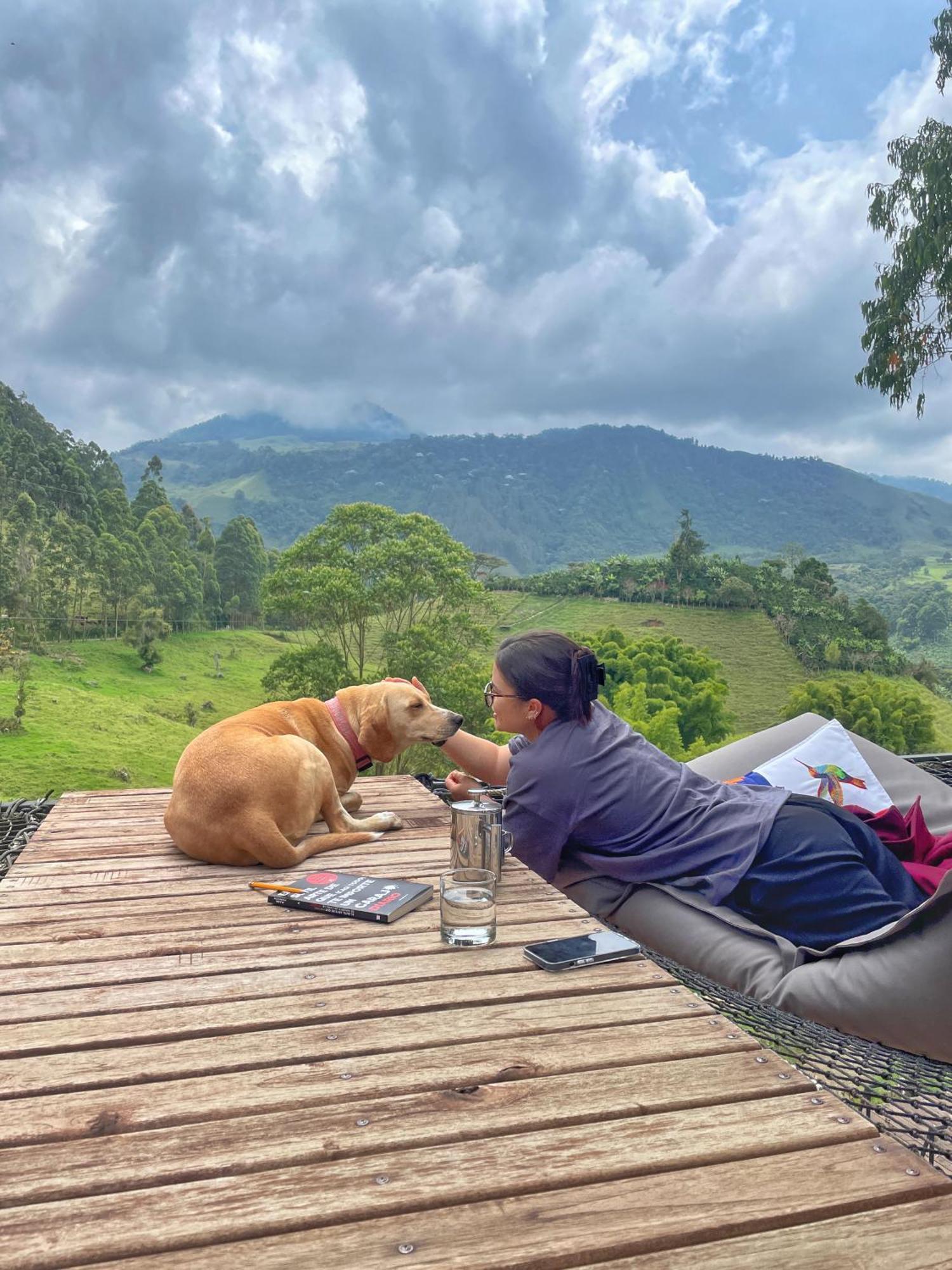 Hotel Gulupa